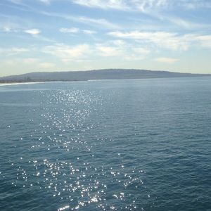 Meet your Posher, Miss